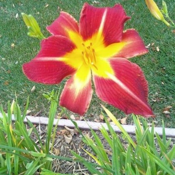 Meet your Posher, Hien - Picture 1 of 1